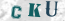 Güvenlik Resmi