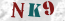 Güvenlik Resmi
